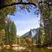 yosemite5
