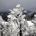 tahoe3