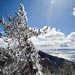 tahoe5